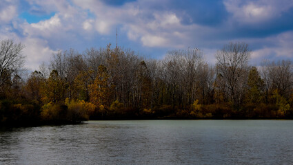 Fototapeta premium lake in the forest