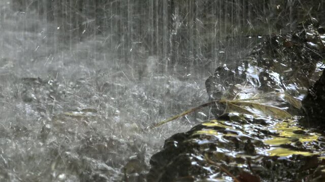 Wasserfall in der Wutachschlucht im Schwarzwald