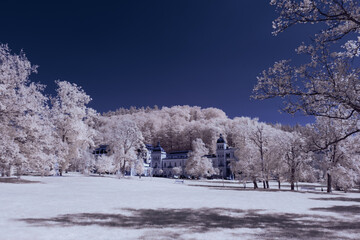 infrared photography - surreal ir photo of landscape with trees under cloudy sky - the art of our world and plants in the invisible infrared camera spectrum