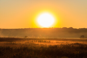 Beautiful sunrise over a foggy meadow