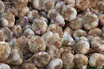 étal de tête d'ail sur un étal de marché