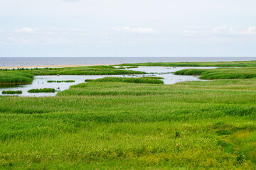 nature reserve Randu Meadows, located on the eastern shore of the Gulf of Riga in the Baltic Sea