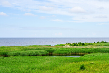Obraz premium nature reserve Randu Meadows, located on the eastern shore of the Gulf of Riga in the Baltic Sea