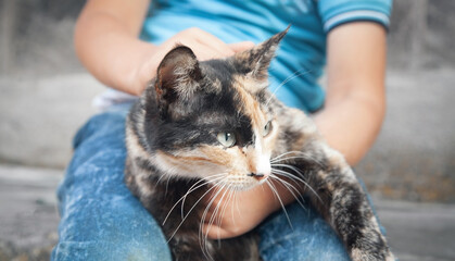 Little boy and cat in outdoors.