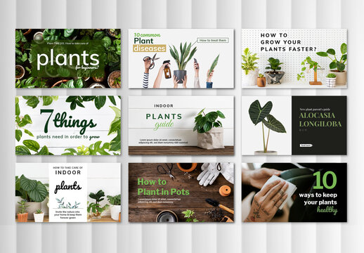 Plant Care Template Set