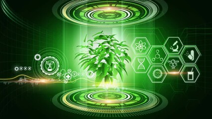 Biochemistry Concept Virtual Reality
A virtual reality 3d graphics showing rotating 3d plant model with icons on surrounding - Powered by Adobe