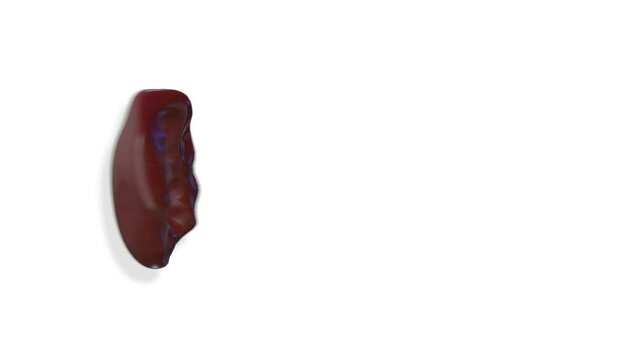 Spleen, internal organs 3D render, anatomy of the human body, white background with luma matte for transparency.