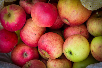 Fresh ripe red apples as background