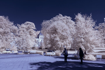 infrared photography - surreal ir photo of landscape with trees under cloudy sky - the art of our...