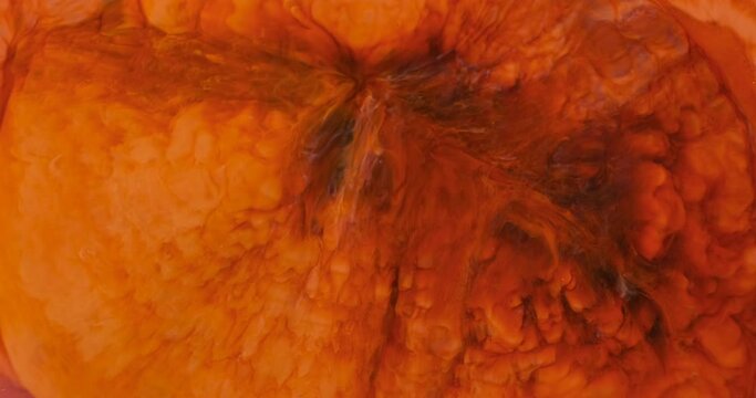 Red paint abstract explosion background, close-up. Red-orange acrylic paint flower blooms in splashes. Intense splash of bloody ink. Abstract passion motion texture. Macro pigment of fire 4k footage