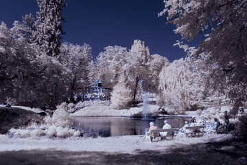 Fototapeta na wymiar infrared photography - surreal ir photo of landscape with trees under cloudy sky - the art of our world and plants in the invisible infrared camera spectrum