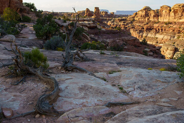 American Southwest Landscapes