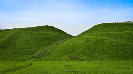 Fototapeta premium grass and blue sky