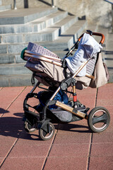 Baby strollers for boys end girl in the park.