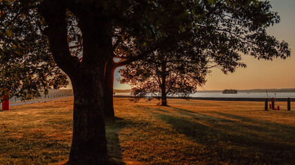 sunset in the park
