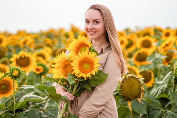 Naklejka premium A beautiful girl in a sunflower field. A woman with sunflowers. Yellow sunflowers