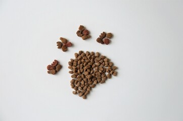 paw of a cat, a dog and dry food for an animal