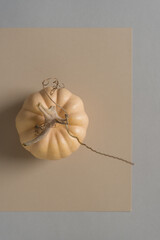 mini pumpkin (gourd) photographed from above in ambient light