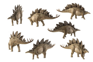 Fototapeta premium Stegosaurus Dinosaur on white background