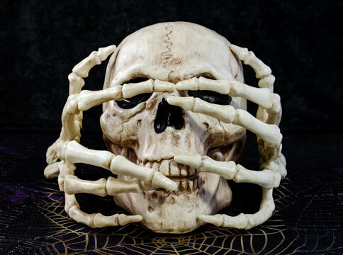 A skull halloween decoration and skeleton hands posing
