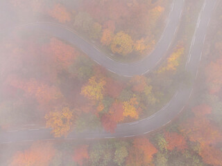 TOP DOWN: Flying along an empty switchback forest road on a foggy autumn morning