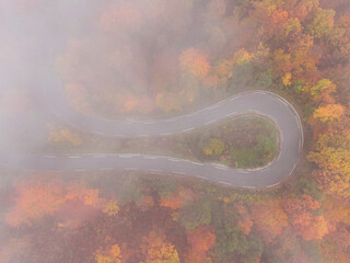 TOP DOWN: Flying above a hairpin turn of a scenic forest road on foggy fall day. - obrazy, fototapety, plakaty
