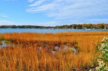A harbor salt marsh on Long Island in peak autumn colors. Setauket Harbor, NY. Copy space