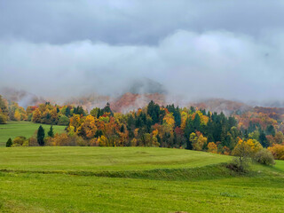 Obraz premium A thick layer of mist covers the idyllic autumn colored forest and meadow.