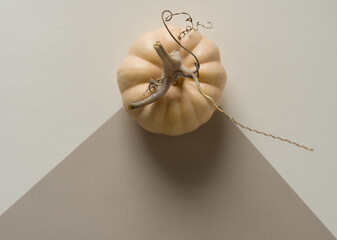 miniature pumpkins (actually, gourds) viewed from above