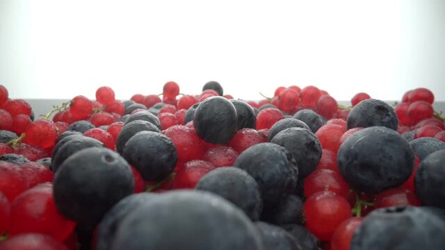 Wild berries, red currants and black lingonberries are poured with water splashes, in slow motion. Fresh fruits for dessert.