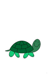 A smiling green turtle on a white isolated background
