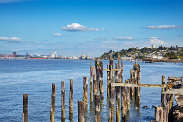 Cummings Park's old pilings frame Tacoma and Commencement Bay. Mount Rainier is in the background. - obrazy, fototapety, plakaty