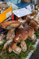 Brive la Gaillarde (Corrèze, France) - Halle Georges Brassens - Scène de marché
