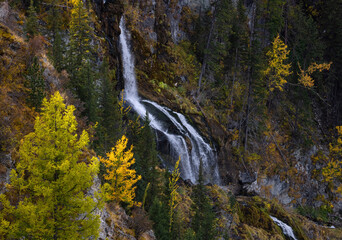 Waterfall high in the mountains in autumn against the background of yellow, green larches. Altai, Russia.