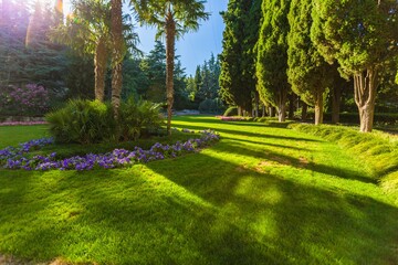 Obraz premium Fantastic day with blooming hills in warm sunlight at twilight. Dramatic and picturesque morning scene. Location place: Carpathian, Ukraine, Europe. Artistic picture. Beauty world. Soft filter effect.