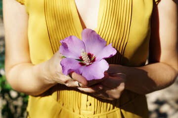 Woman in a yellow dress holding a fresh purple hibiscus flower in a park © Marianna Jaszczuk/Wirestock