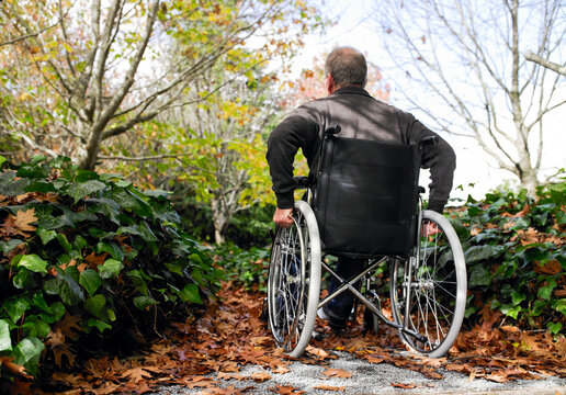 Back view of man in a wheelchair on garden path