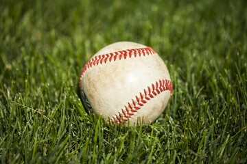 Baseball in the grass