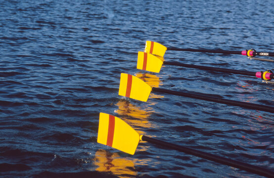 Set of four rowing oars on top of the water