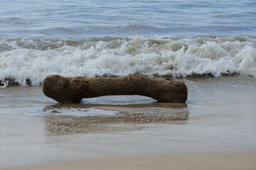 Horizontal shot of a tree trunk on the beach, on the sand