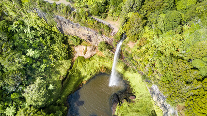 Fototapeta na wymiar Beautiful waterfall in the middle of native forest. North Island, New Zealand.