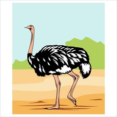 ostrich on flat design for background illustration and image