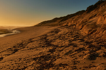 Fototapeta na wymiar The Beautiful and Idyllic Portsea Back Beach In Victoria Australia.