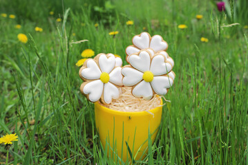 Gingerbread cookies in daisy flower shape outdoors