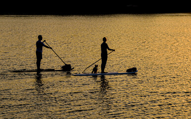Two paddle boarders and a little dog in silhouette at sunset.  Copy space.  Long Island, New York.