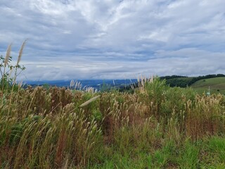 terreno nas montanhas, loteamento, urbano