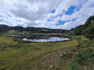 Obraz premium lago, lagoa, açude, na fazenda