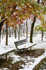 初冬の公園の雪がのった木のベンチ
