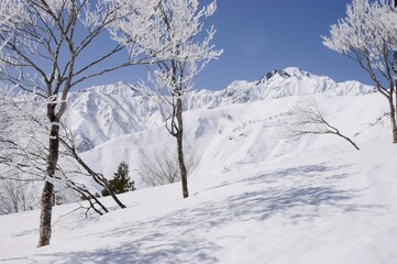 白馬八方尾根から望む白馬の峰々