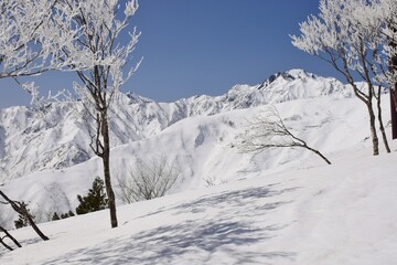 白馬八方尾根から望む白馬の峰々